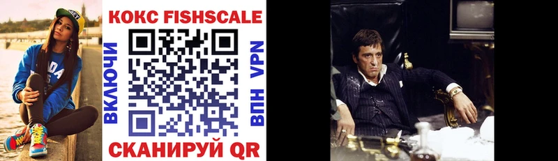 где можно купить   Данков  COCAIN FishScale 