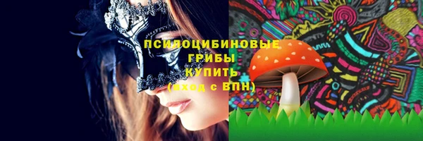 стафф Вяземский