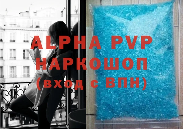 гидра Вязьма
