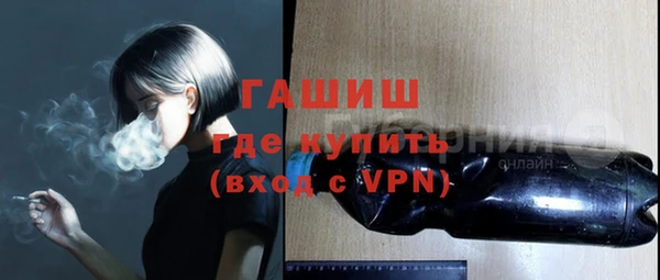 гидра Вязьма
