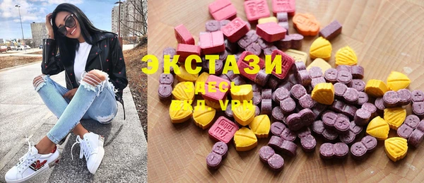 гидра Вязьма