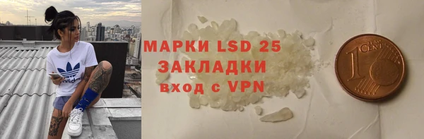 гидра Вязьма