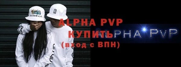 стафф Вяземский