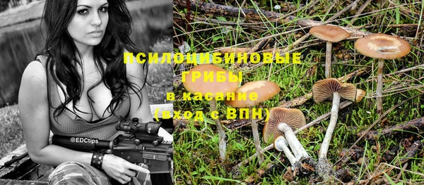 гидра Вязьма