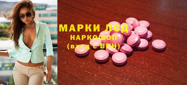 гидра Вязьма