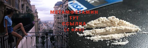 гидра Вязьма